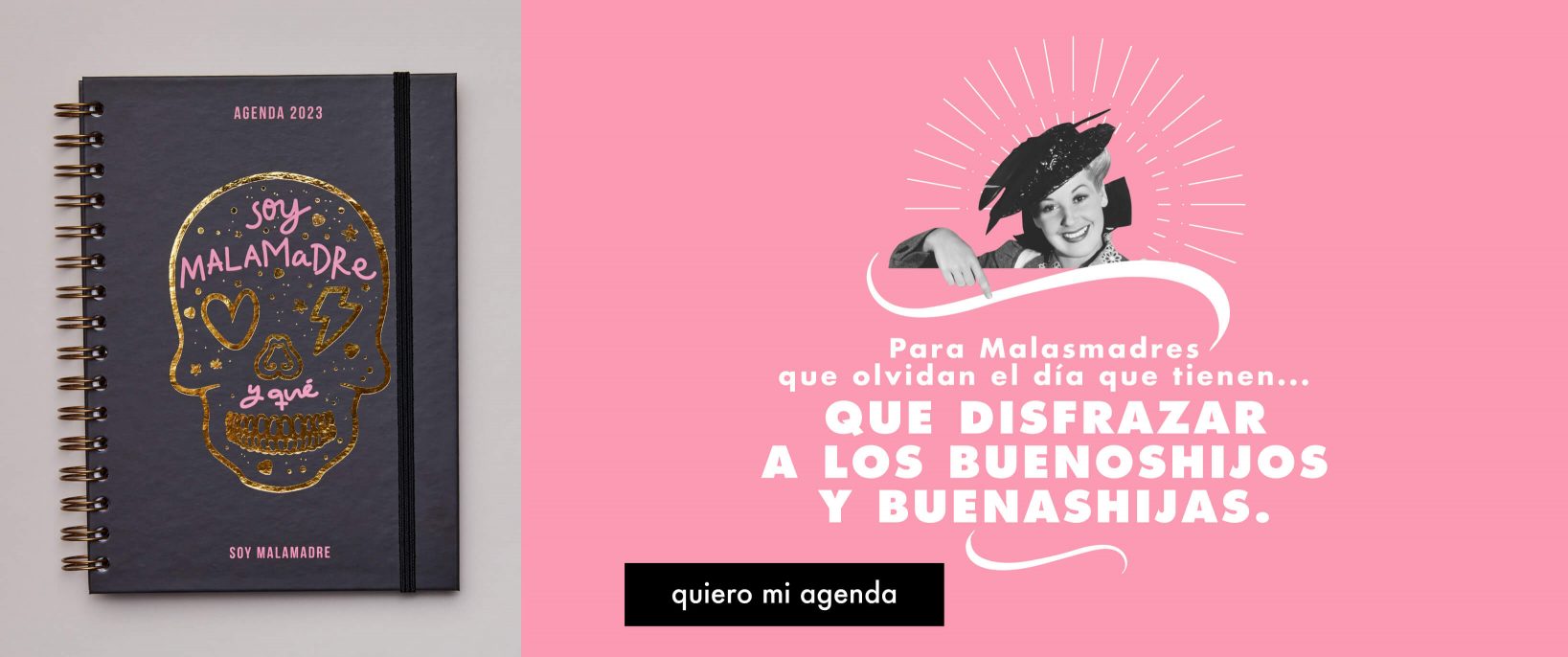 banner despistes